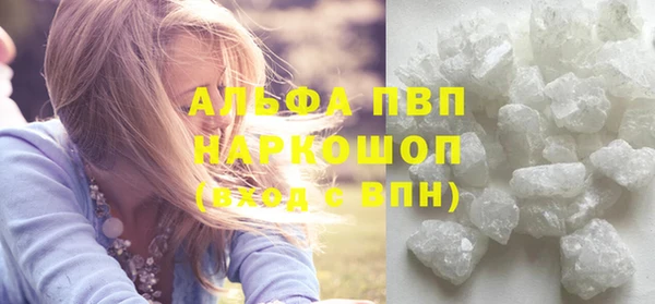прущие грибы Баксан
