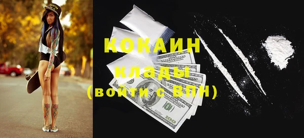 шишки Осинники