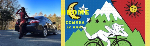 шишки Осинники