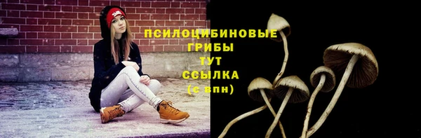 спиды Няндома