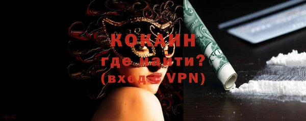 шишки Осинники