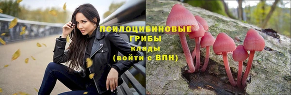 амф Нягань