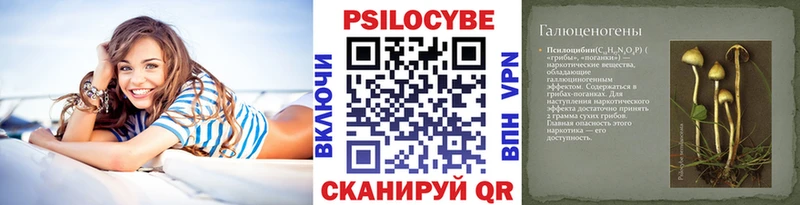 Псилоцибиновые грибы Magic Shrooms  Динская 