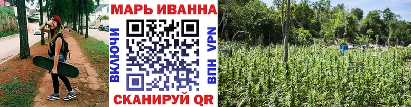 Конопля семена  Динская 